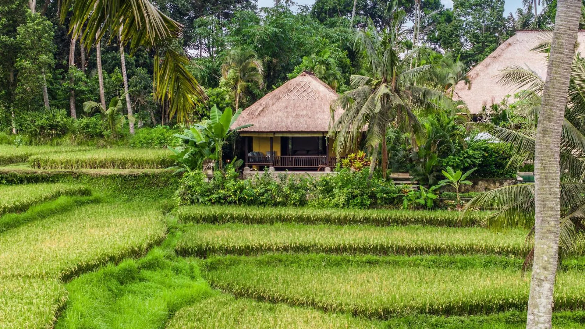 Imperial Villa In Ubud - Majestic Beauty And Nature contacts