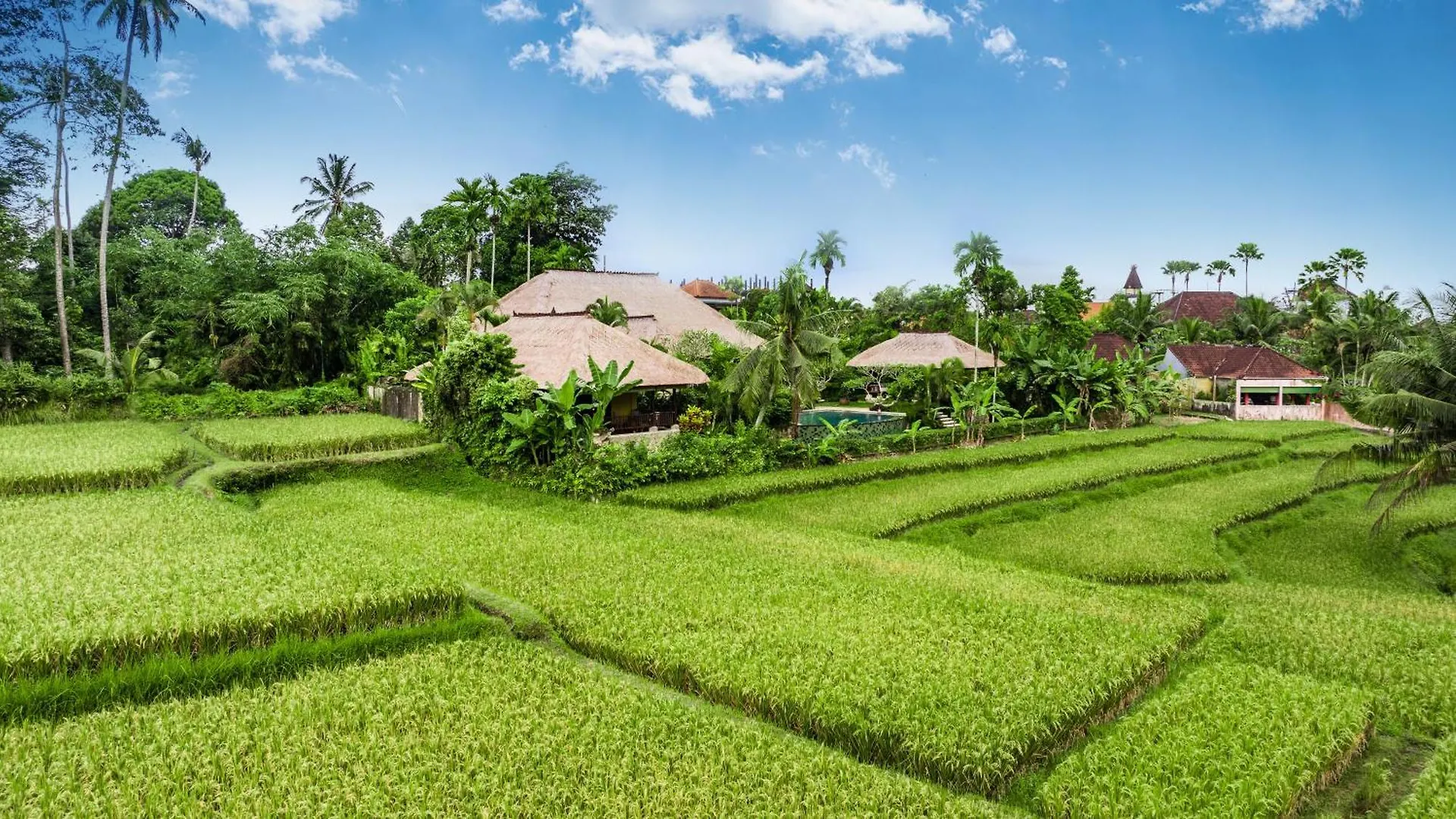 Imperial Villa In Ubud - Majestic Beauty And Nature Indonesia