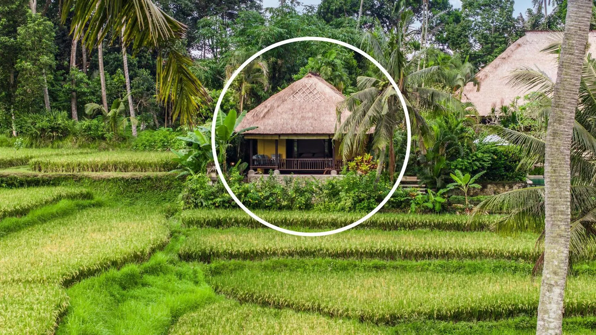 Imperial Villa In Ubud - Majestic Beauty And Nature Ubud (Bali)